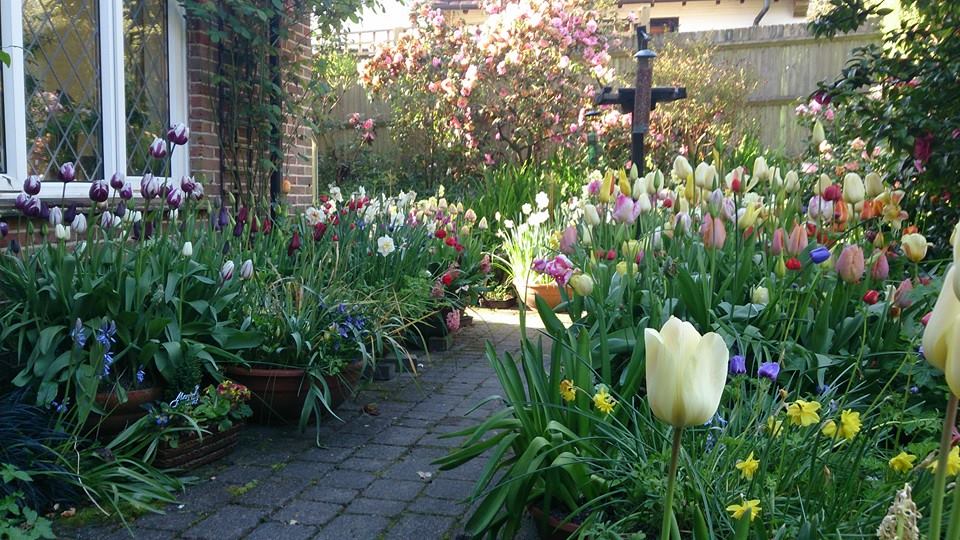 Qualified and experienced in horticulture